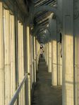 15460 Balcony in the Temperate house.jpg